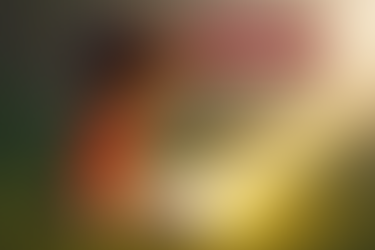 Cuarto Domingo de Adviento