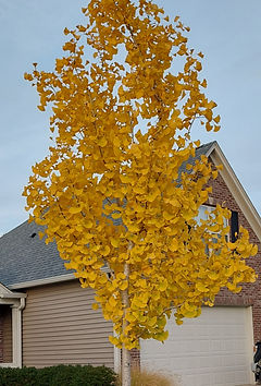 20221029_182049.jpg