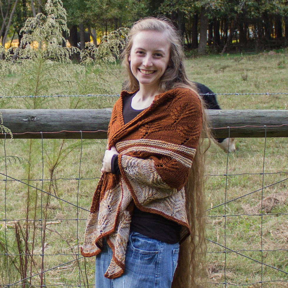 Thumbnail: Where the Buffalo Roam Shawl