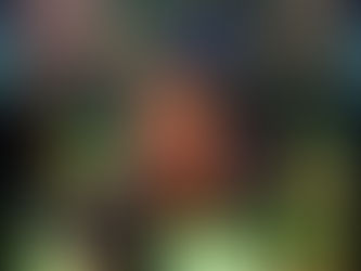 Zé Ricardo, FELIZ ANIVERSÁRIO!!!