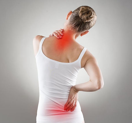 a person's back