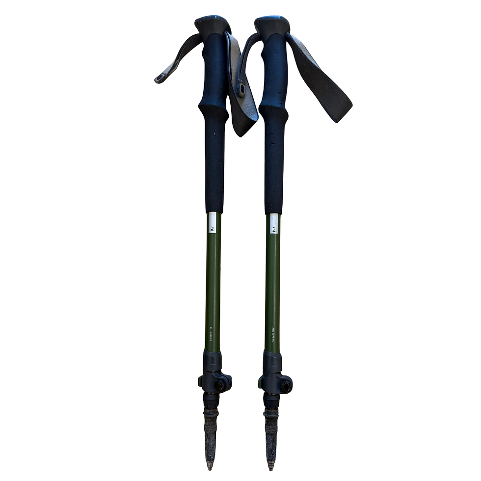 Trekking poles for hiking trip