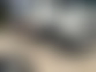 TILT TRAY SALES BRISBANE