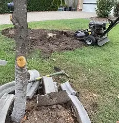 Brisbane small stump grinder hire