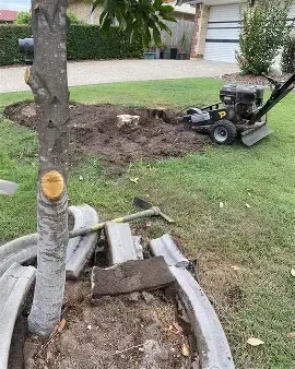 STUMP GRINDER HIRE BRISBANE NORTH