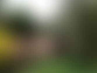 SHADE SAIL POST DRILLING