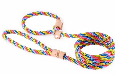 Control and Style: Leather Slip Lead