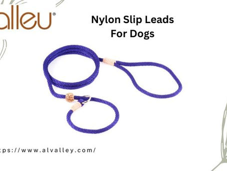 Navigating Canine Comfort and Control: The Versatility of Nylon Slip Leads