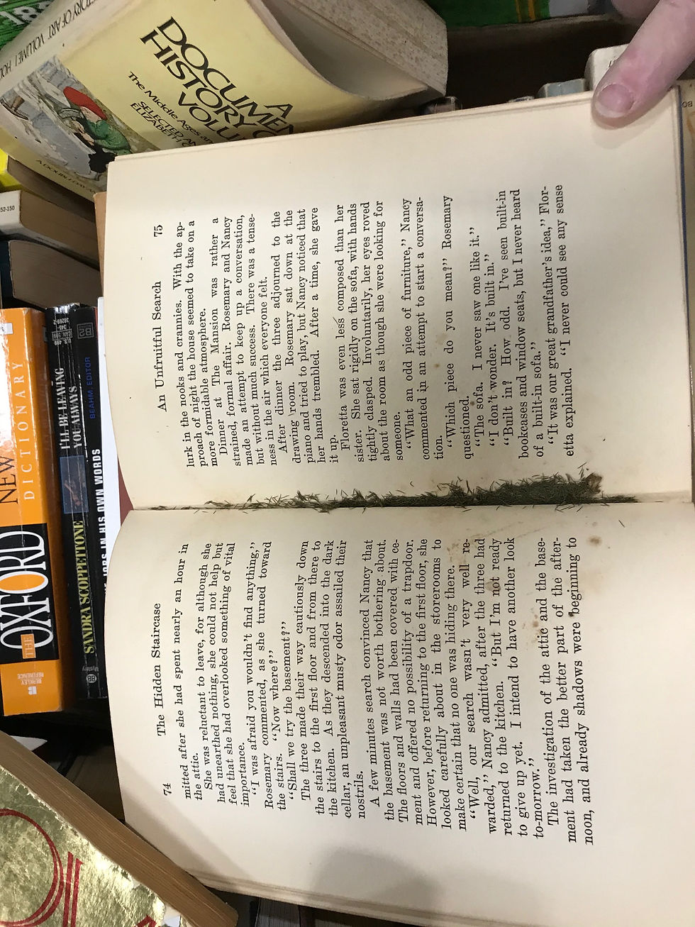 Dirt or Mold in Book