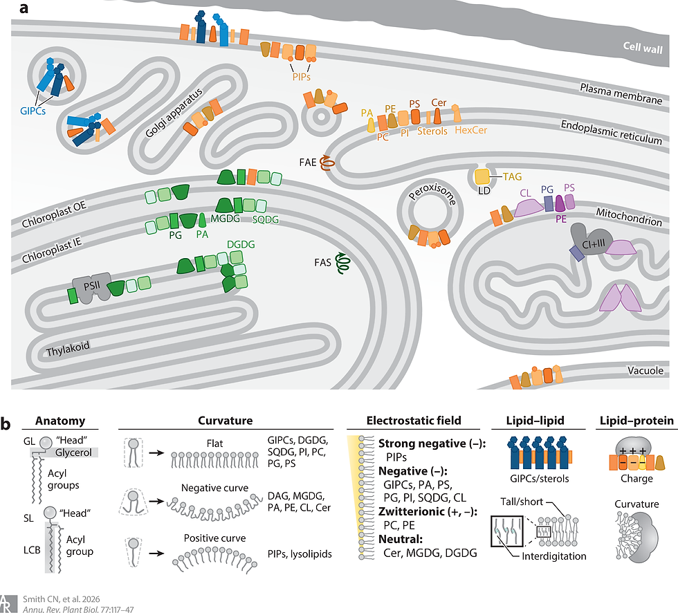 Figure 1 from Cailin's Annual Review