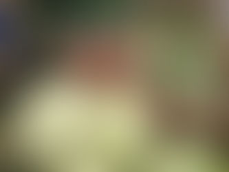 Erntedank-Bauernmarkt in der Furthmühle Pram