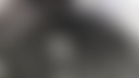 學生心得——我相信，學梵語能讓我們看見世界