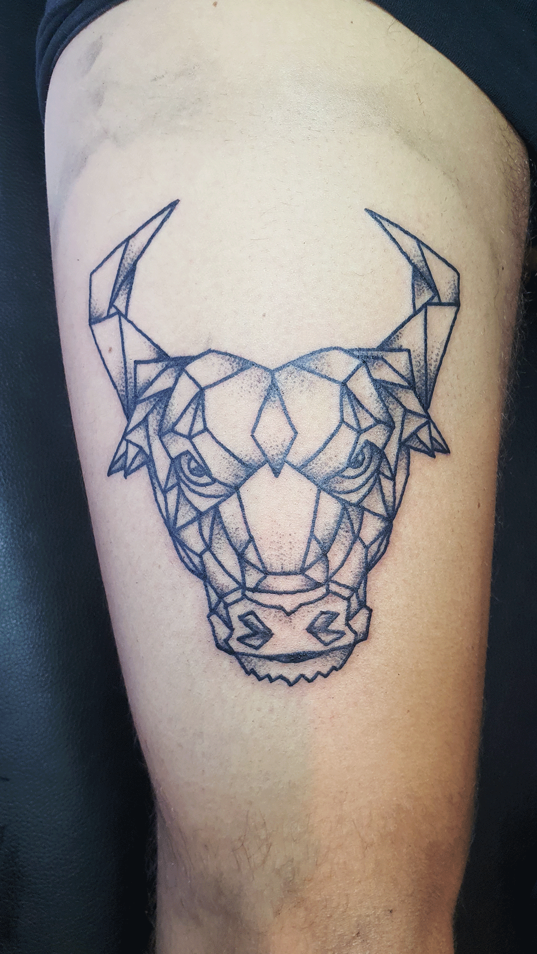 Bull Tattoo geometric