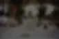 Rentals_4_edited_1.webp