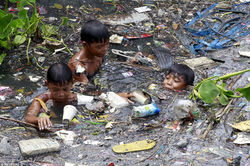 Stagnant water