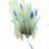 Thumbnail: Grape Hyacinth