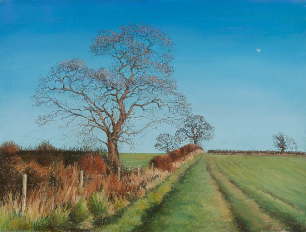 Winter Field A3/A4 Giclée print