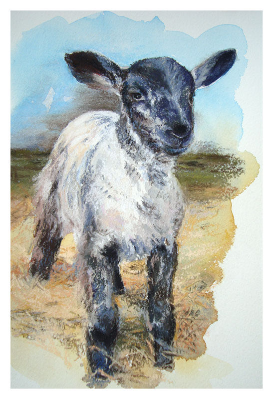 New Arrival. A4 Giclee Print