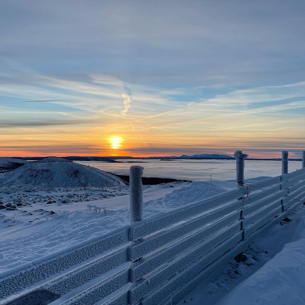 Vinter