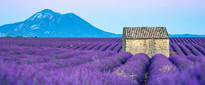 alpes haute provence.jpg