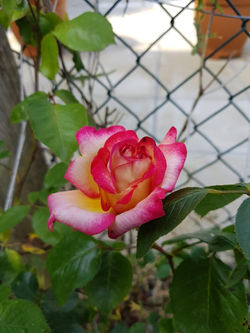 ad04fff8-2cbb-4ebf-9338-4e3b88042121