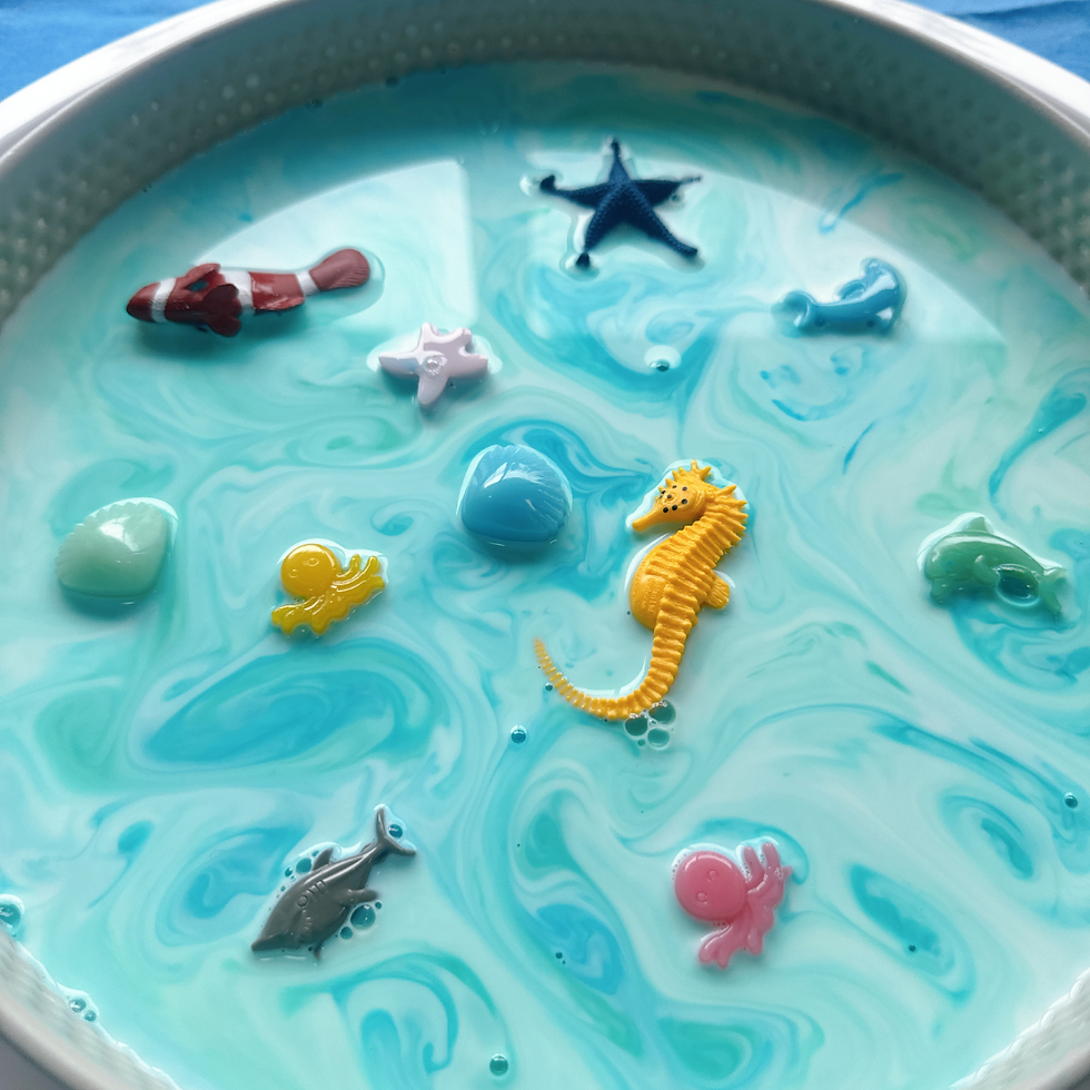 海の世界で感覚遊びを楽しむ