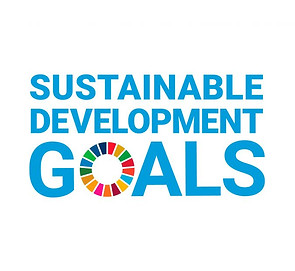 sustainable-development-goals8013.jpg