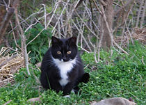 20160417_29.JPG