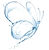 papillon d'eau_edited_edited_edited_edit
