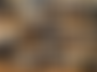 November 2025 Newsletter