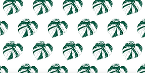 Graces House Of Plants packing paper .png