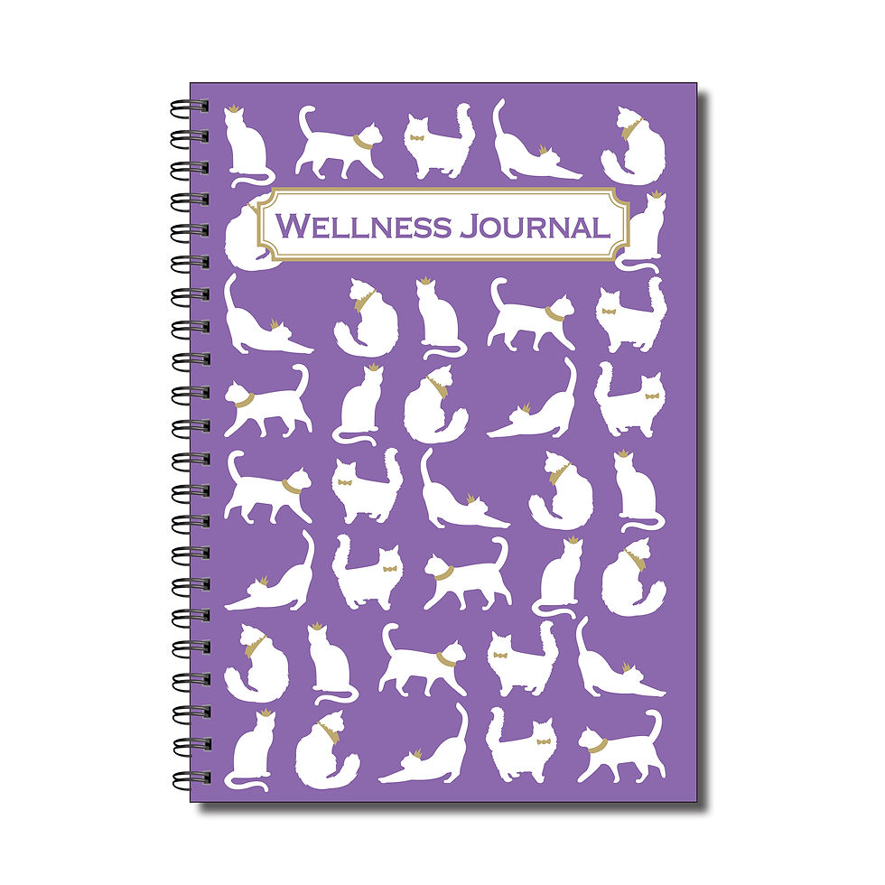 Thumbnail: Designer Range Wellness Journal A5 120gsm 50 double sided pages Wirobound