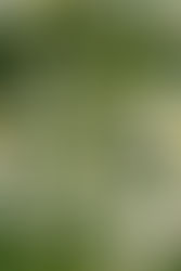 Março: Um Mês de Simbolismos, Reflexão e Transformação