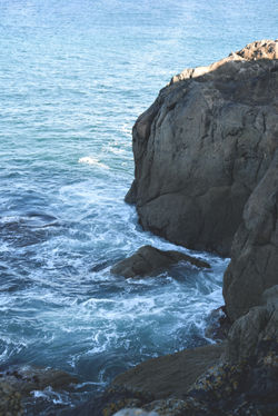 DSC_0699 copie