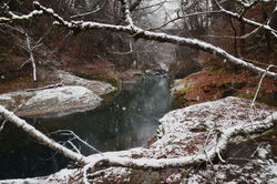 DSC_0111 copie