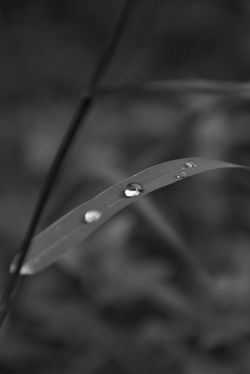 DSC_0190 copie