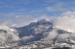 DSC_0027 copie