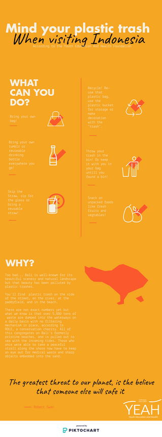 Mind your plastic trash when visiting Bali!
