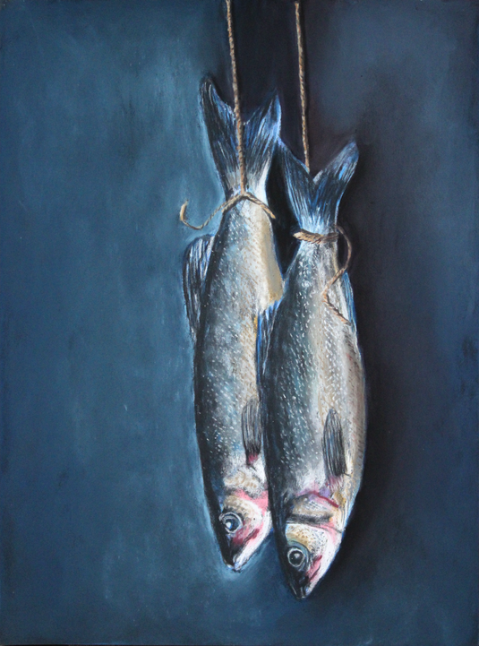 Freshly caught fish against a dark blue background.