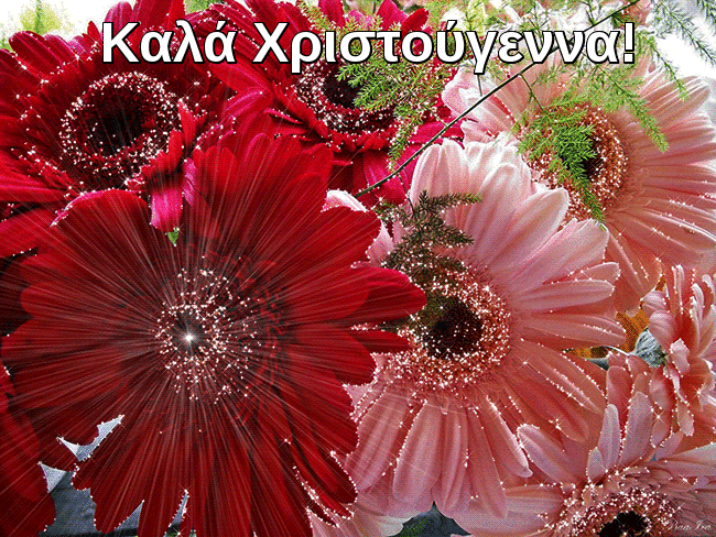 Καλά Χριστούγεννα!