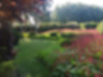 IMG_20200803_090919~2
