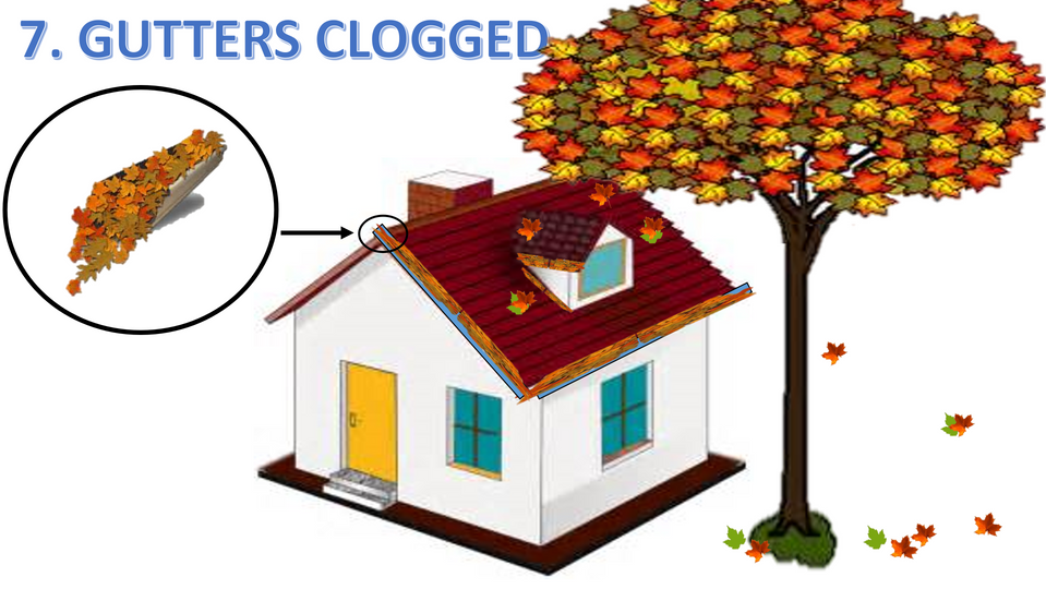 Screenshot (1248).png