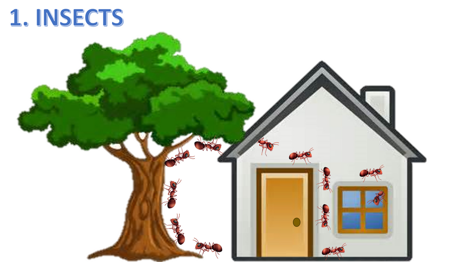 Screenshot (1242).png