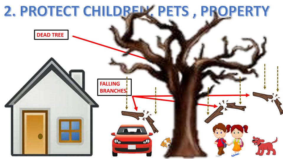 Screenshot (1243).png