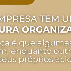 Estrutura organizacional e design organizacional: a tomografia da capacidade de uma empresa