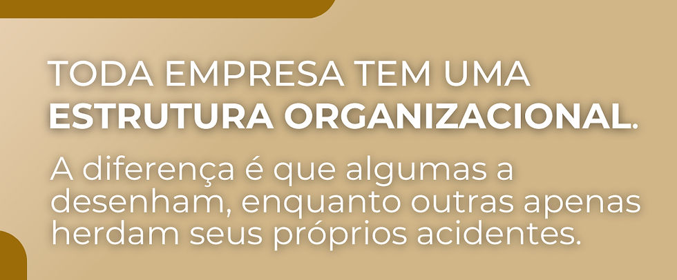 Estrutura organizacional e design organizacional: a tomografia da capacidade de uma empresa
