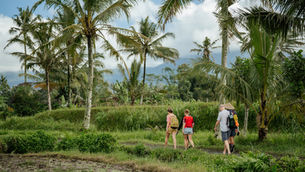 Hiking in Bali Beyond the Crowds: The Best Things to Do in Bali as the Island Chooses Value Over Volume