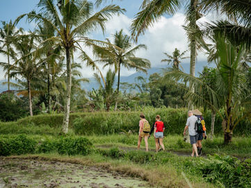 Hiking in Bali Beyond the Crowds: The Best Things to Do in Bali as the Island Chooses Value Over Volume