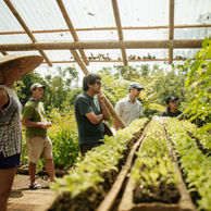 Bali trekking, Bali trail