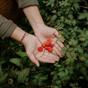 Bali trekking, Bali trail